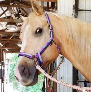 Meet your Posher, Diane